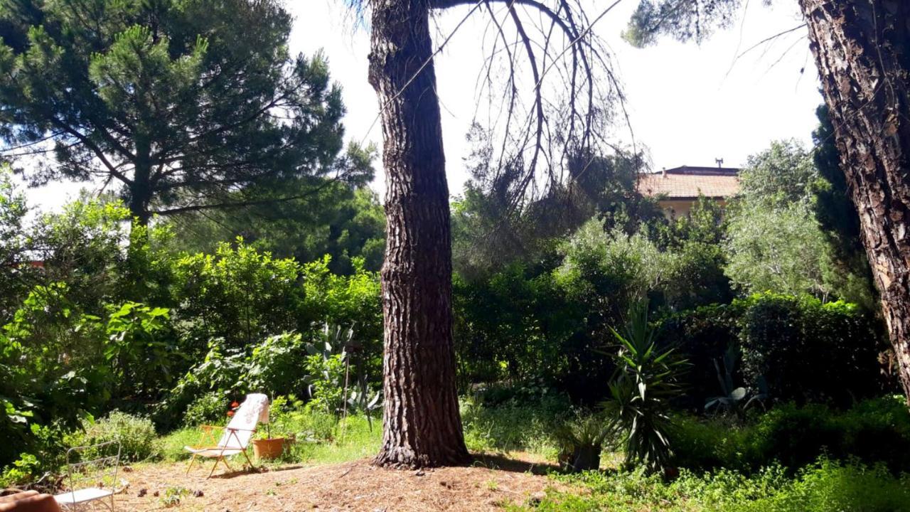 B&B Etnea Centoundici Nicolosi Exterior foto